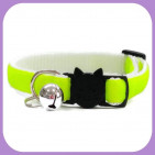 Collar-173